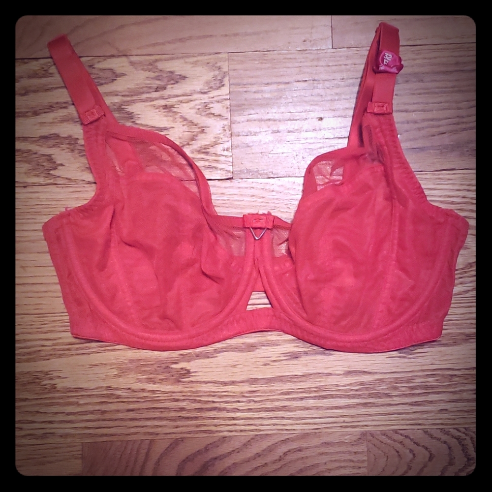 Curvy Kate red orange bra. NWT 32F